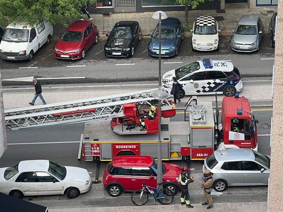 Intervención de los Bomberos ante la presencia de avispas velutinas en la Avenida da Estación Intervención de los Bomberos ante la presencia de avispas velutinas en la Avenida da Estación