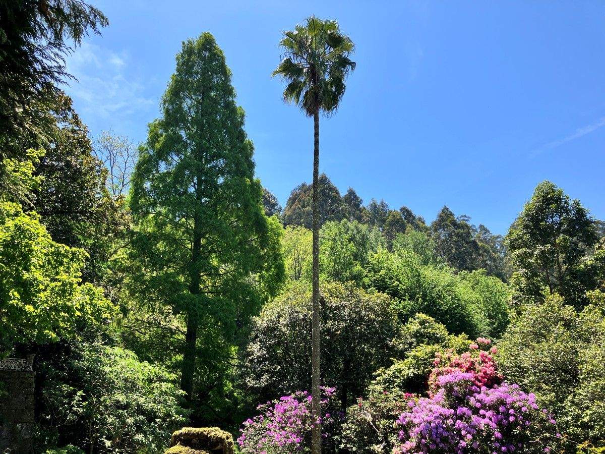 Vista do xardín botánico de Lourizán