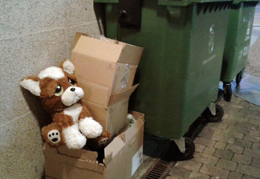 Juguete tirado a la basura