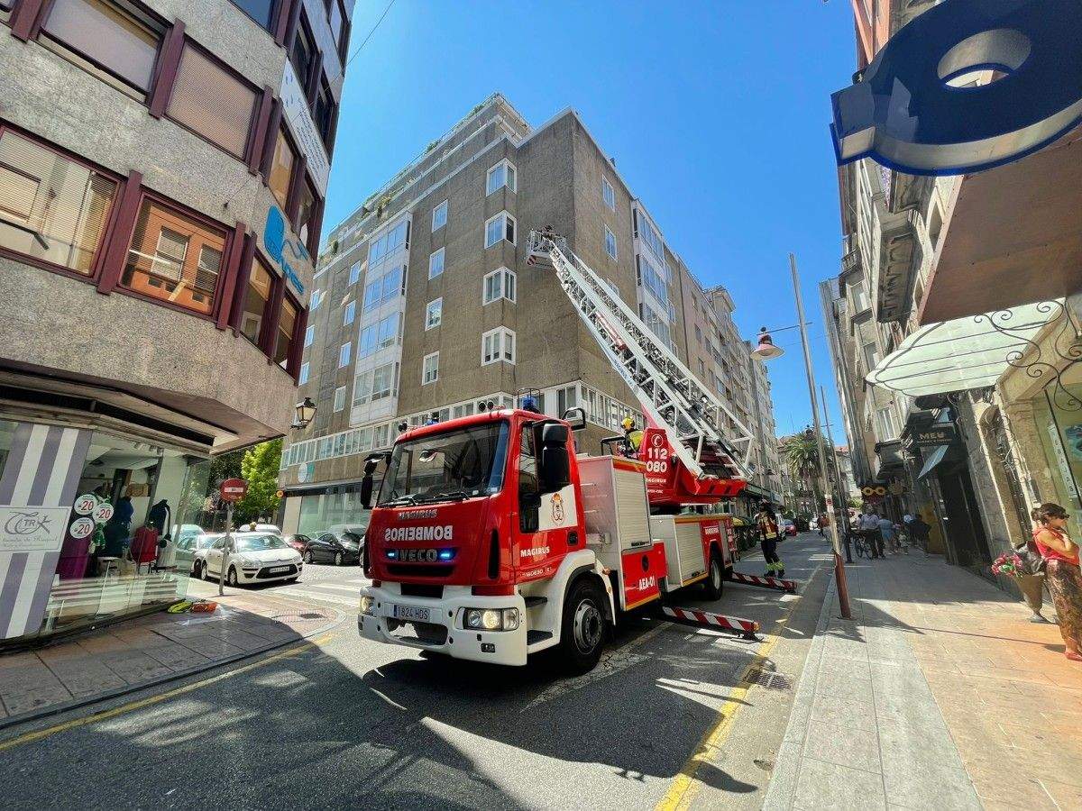 Los bomberos eliminan un nido de velutinas