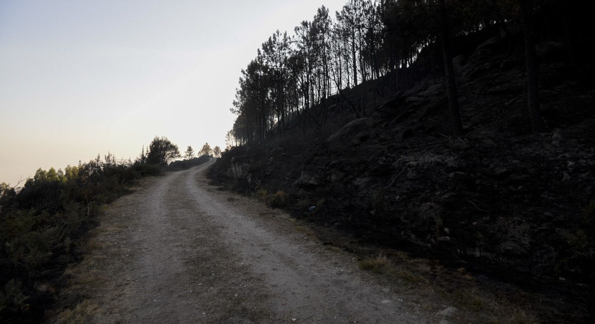 Terrenos devorados por el fuego en el monte de A Fracha