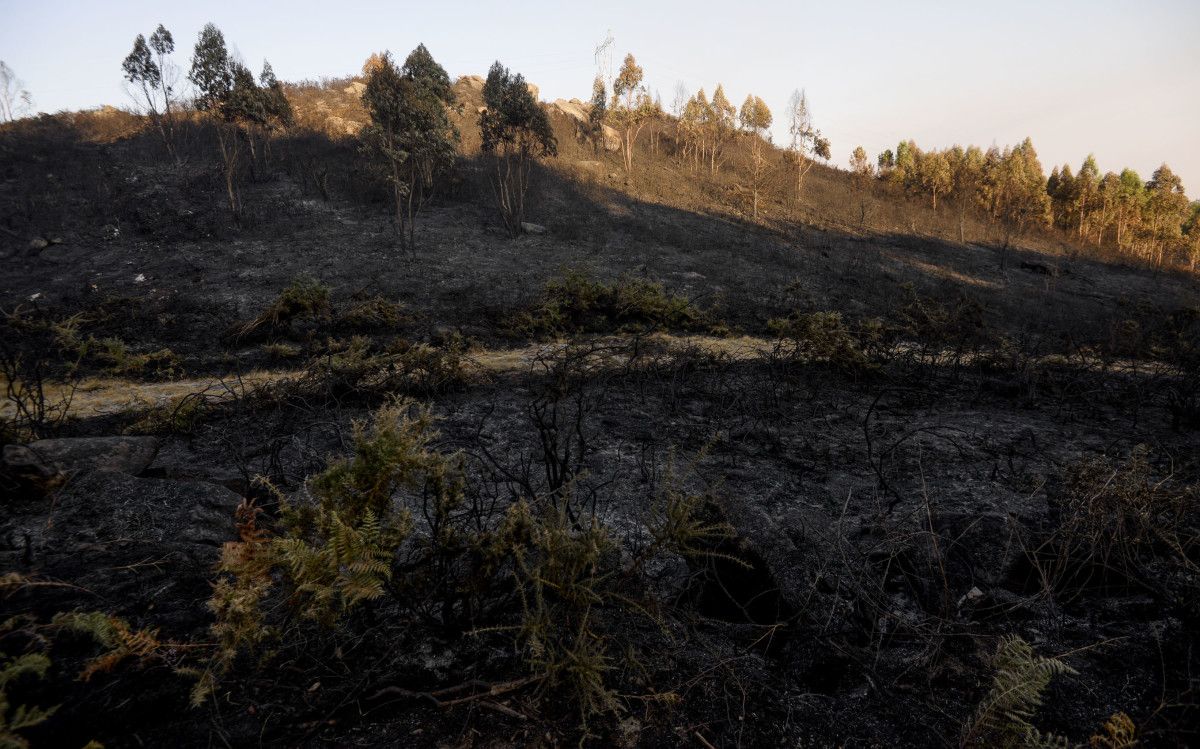 Terrenos devorados por el fuego en el monte de A Fracha