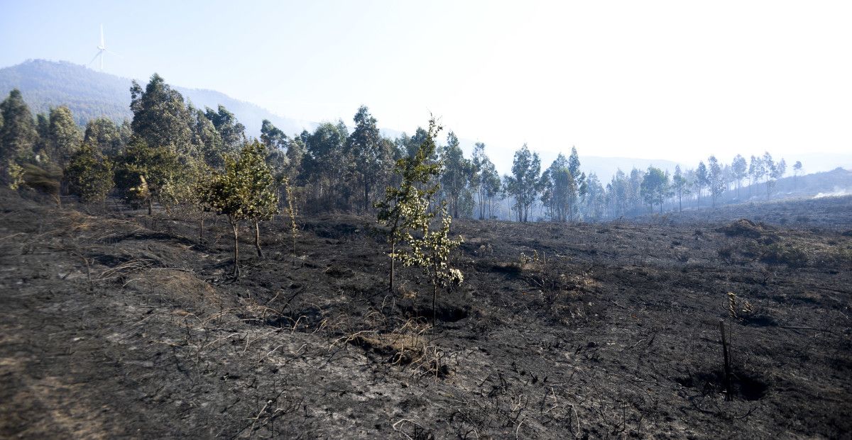 Un incendio forestal cerca viviendas en diversas localidades de Caldas e Vilagarcía