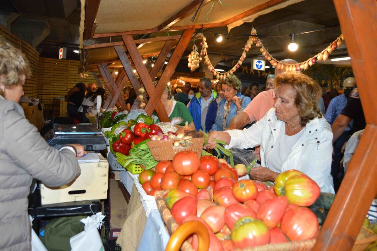 Feira da Cebola 2022