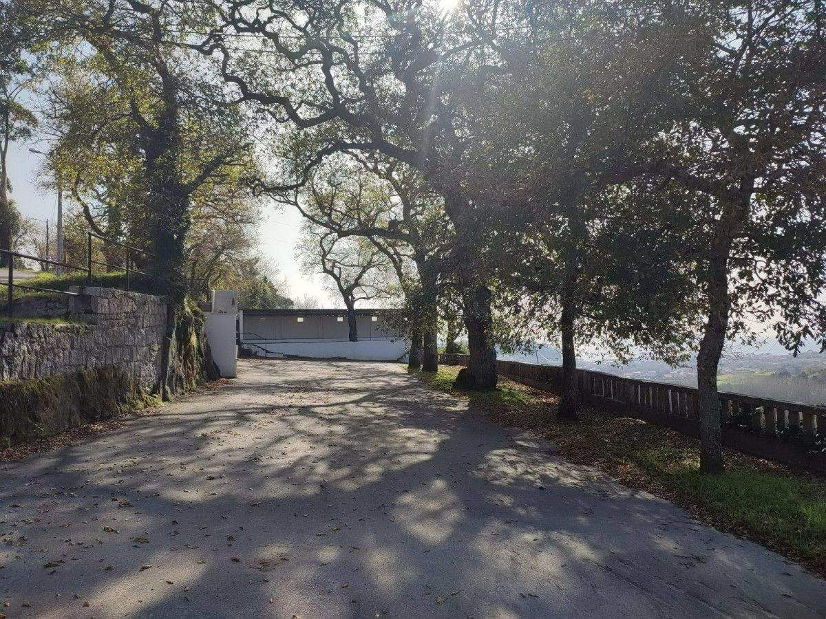 Carballeira de Dorrón