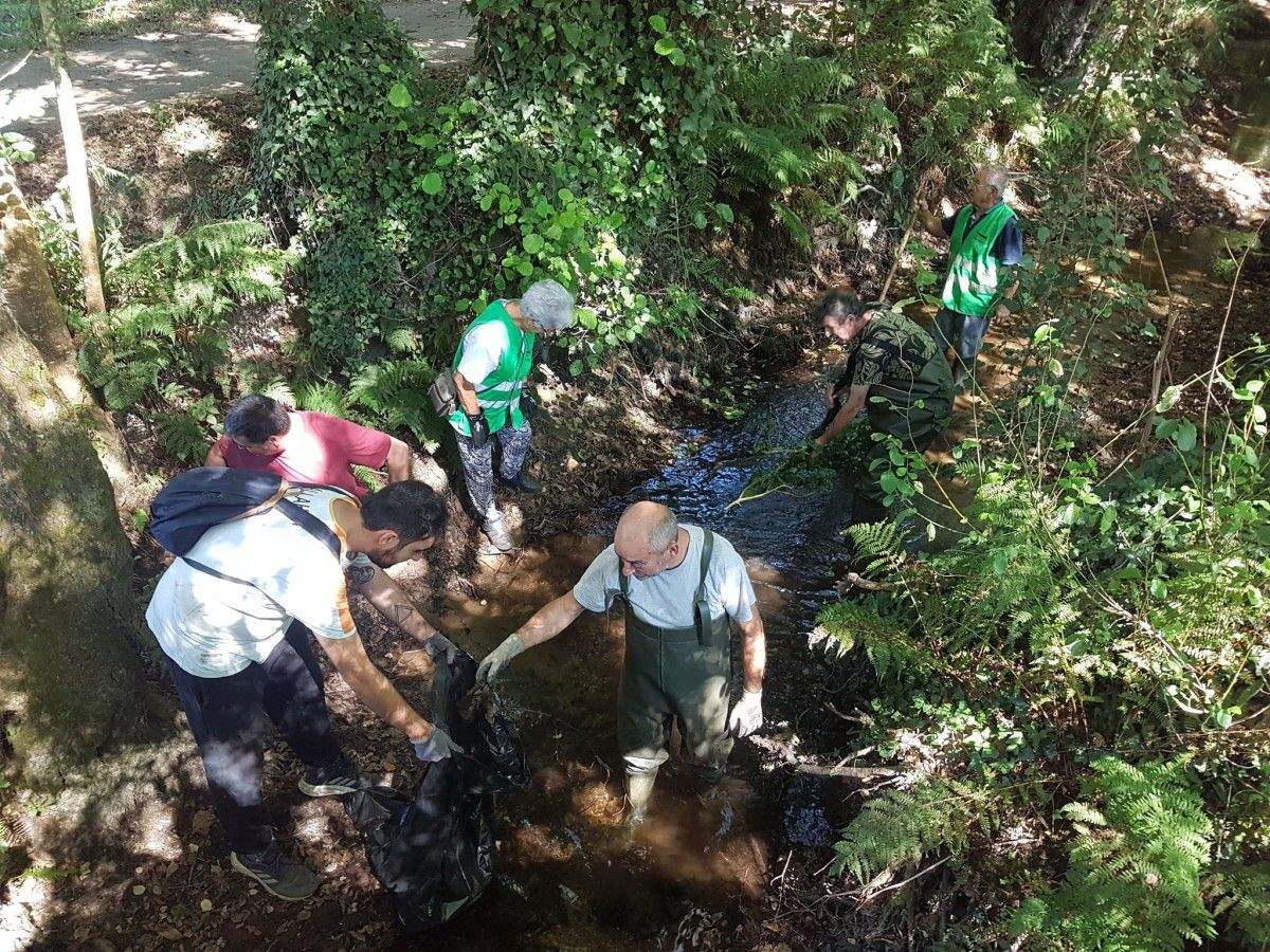Voluntariado limpiando el cauce del Gafos