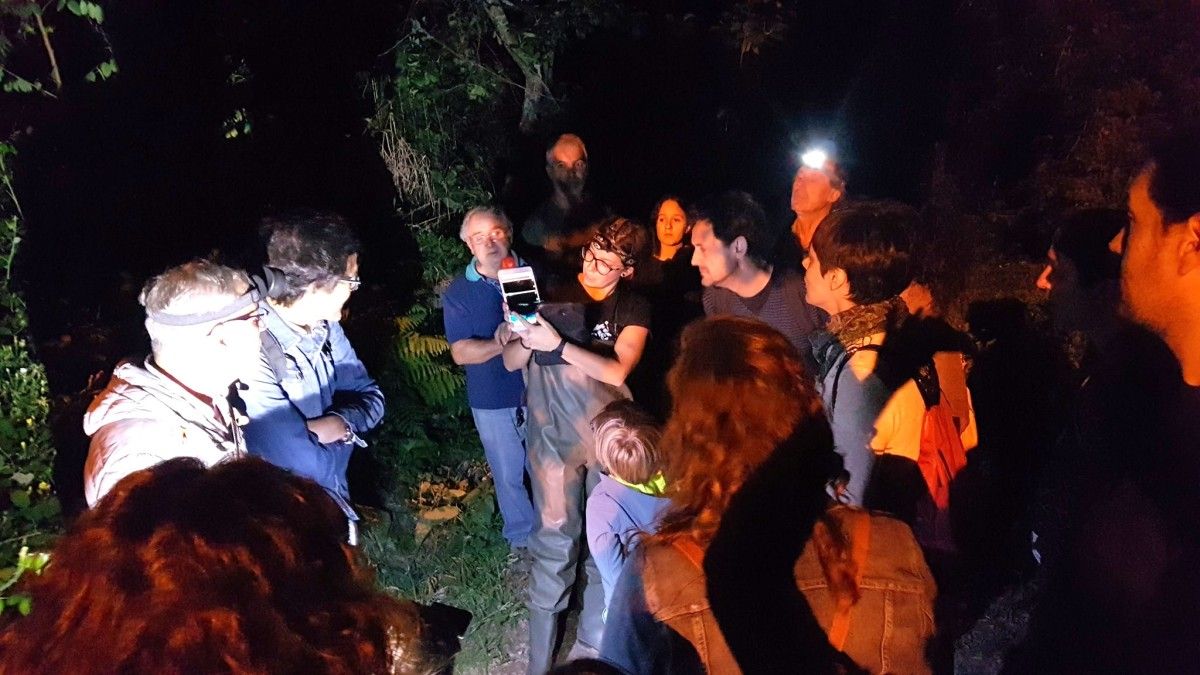 Exploración de morcegos no río Gafos con representantes de Morcegos Galicia