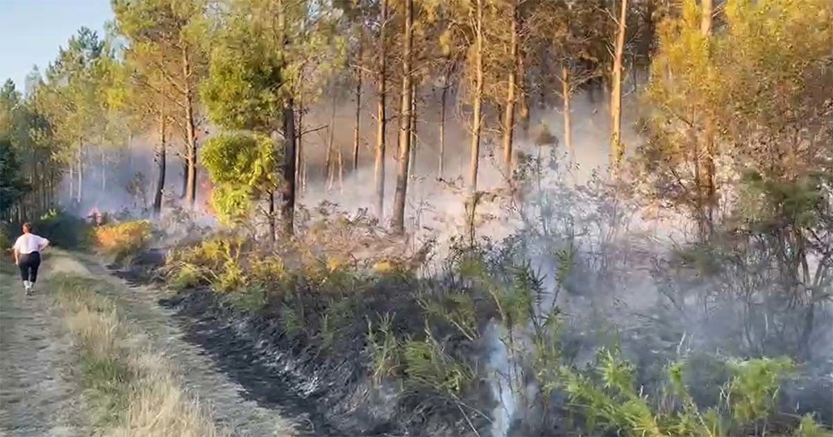 Incendio en Aguasantas