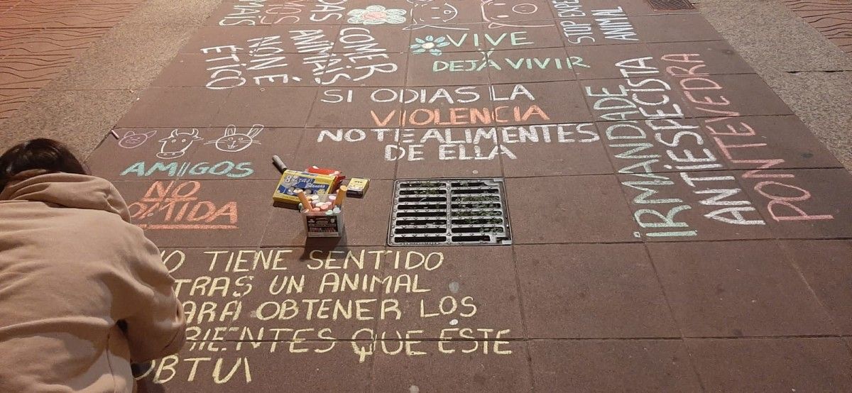 Acción reivindicativa da Irmandade Antiespecista de Pontevedra