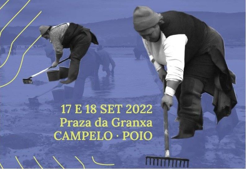 Detalle do cartel da 34 edición da Festa da Ameixa de Campelo