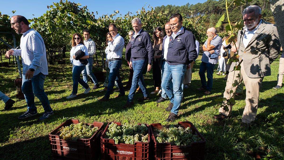 Visita de Alfonso Rueda á leira de Martín Códax en Meis