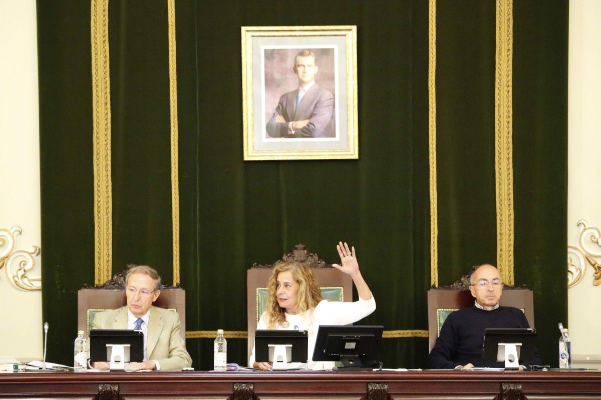 Pleno da Deputación de Pontevedra