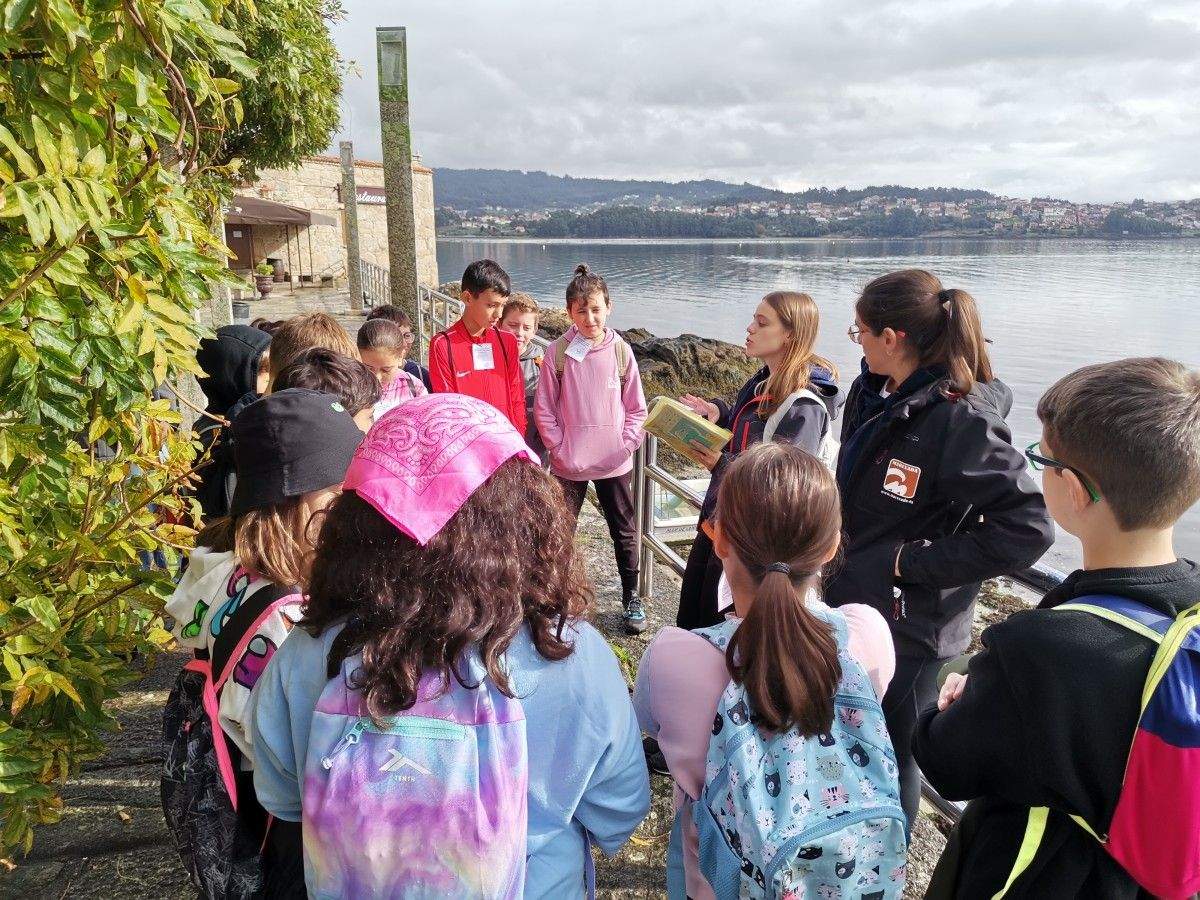 Escolares do colexio de Chancelas que participan no City Chase de Combarro