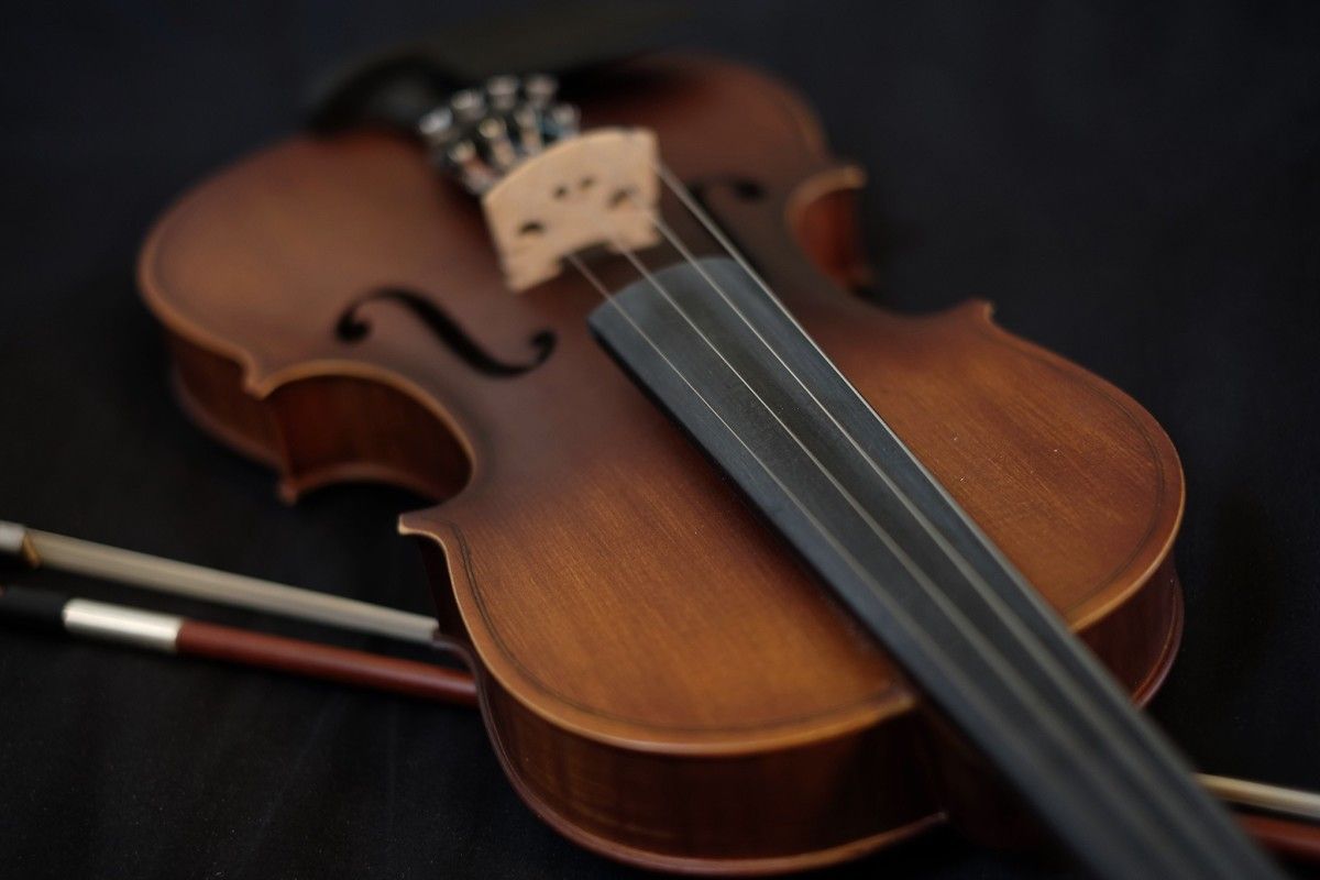 Violín