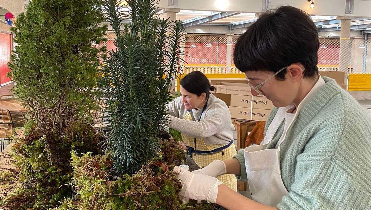 Inicio de los trabajos de decoración navideña en la plaza de abastos Inicio de los trabajos de decoración navideña en la plaza de abastos