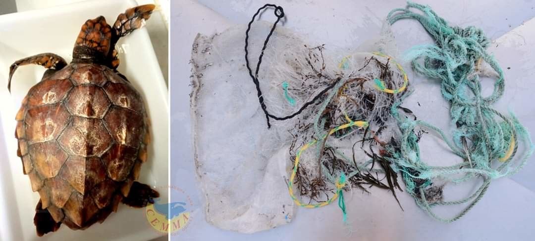 Nemiña foi atopada en Muxía enredada nunha maraña de cabos