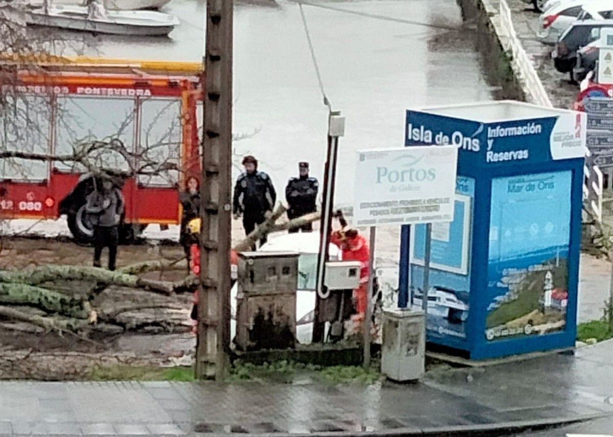 Intervención dos bombeiros de Pontevedra por unha árbore caída nas Corvaceiras