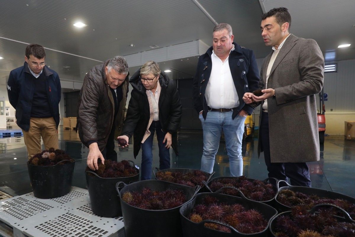 Rosa Quintana visita a Lonxa de Portonovo