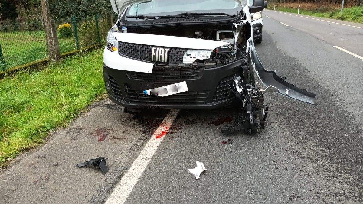 O vehículo impactou co corzo na Anllada 