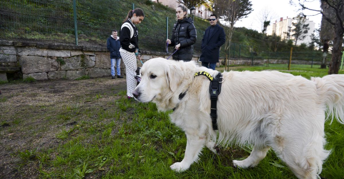 Inauguración do parque canino de Monte Porreiro