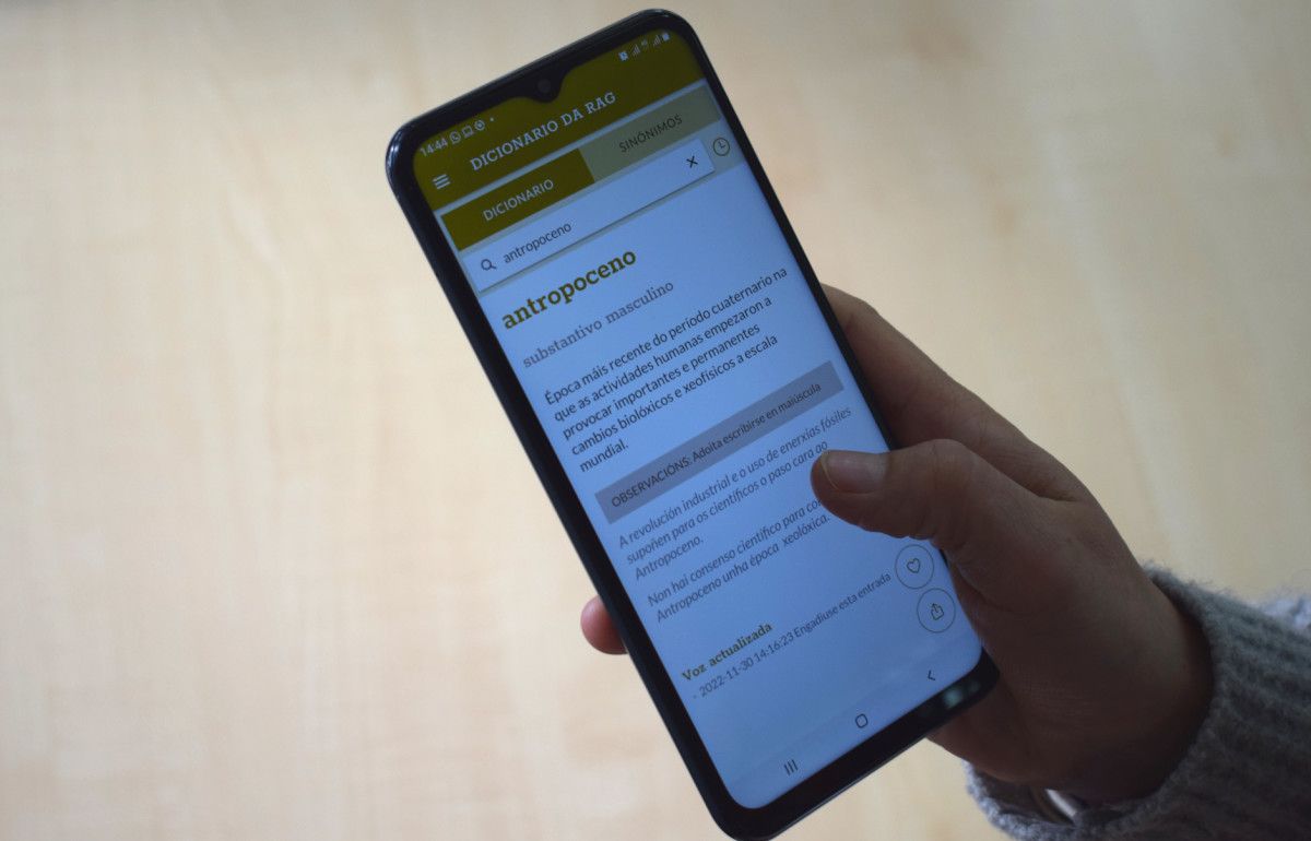 Aplicación do Diccionario da RAG para móbiles