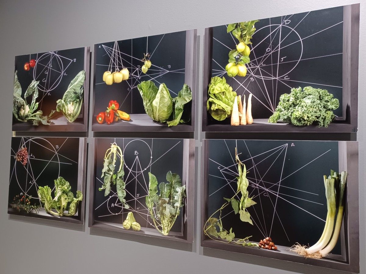 'Gastro Cotán', fotografías de Xulio Gil