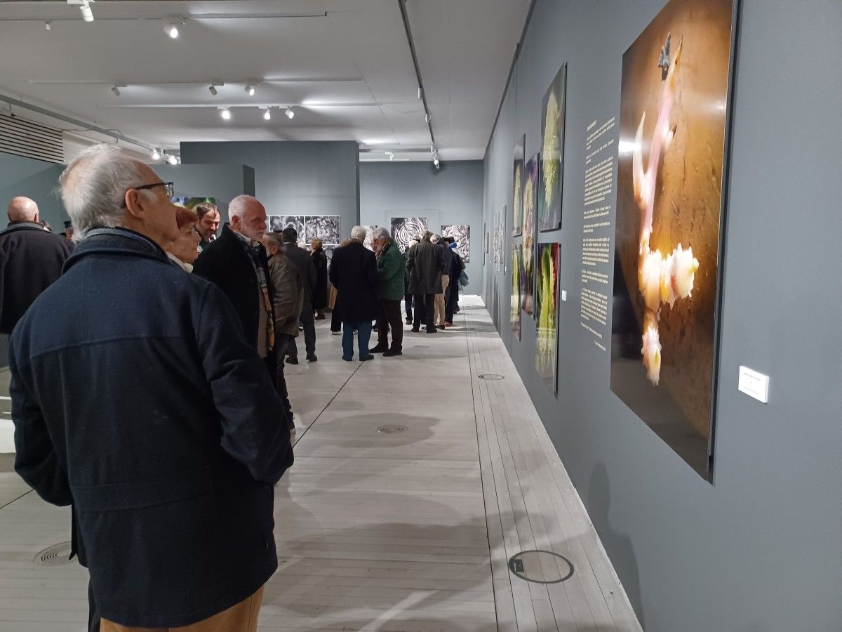 Inauguración de la exposición ‘Símbolos do conflito. Fotografías de Xulio Gil’ 