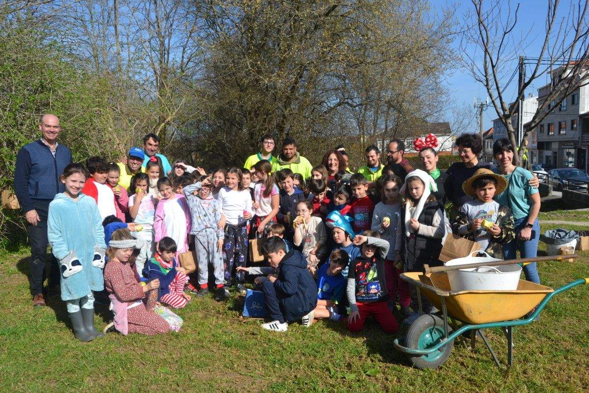 Xornada de plantación de árbores en Bueu con escolares do colexio A Pedra
