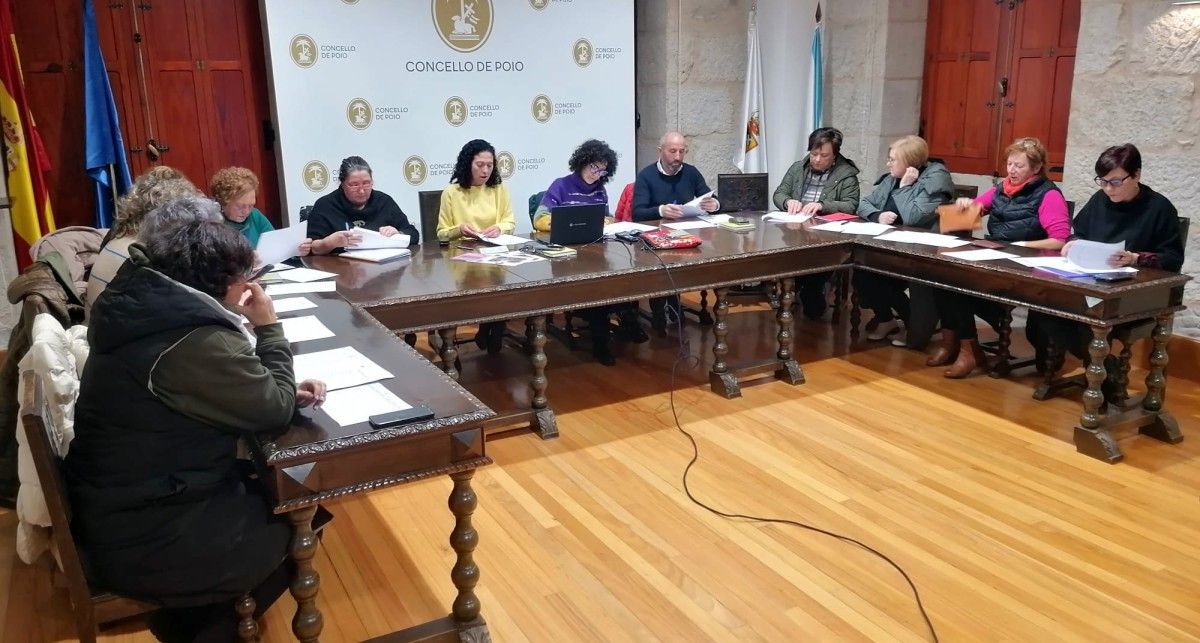 Consello Municipal da Muller en Poio