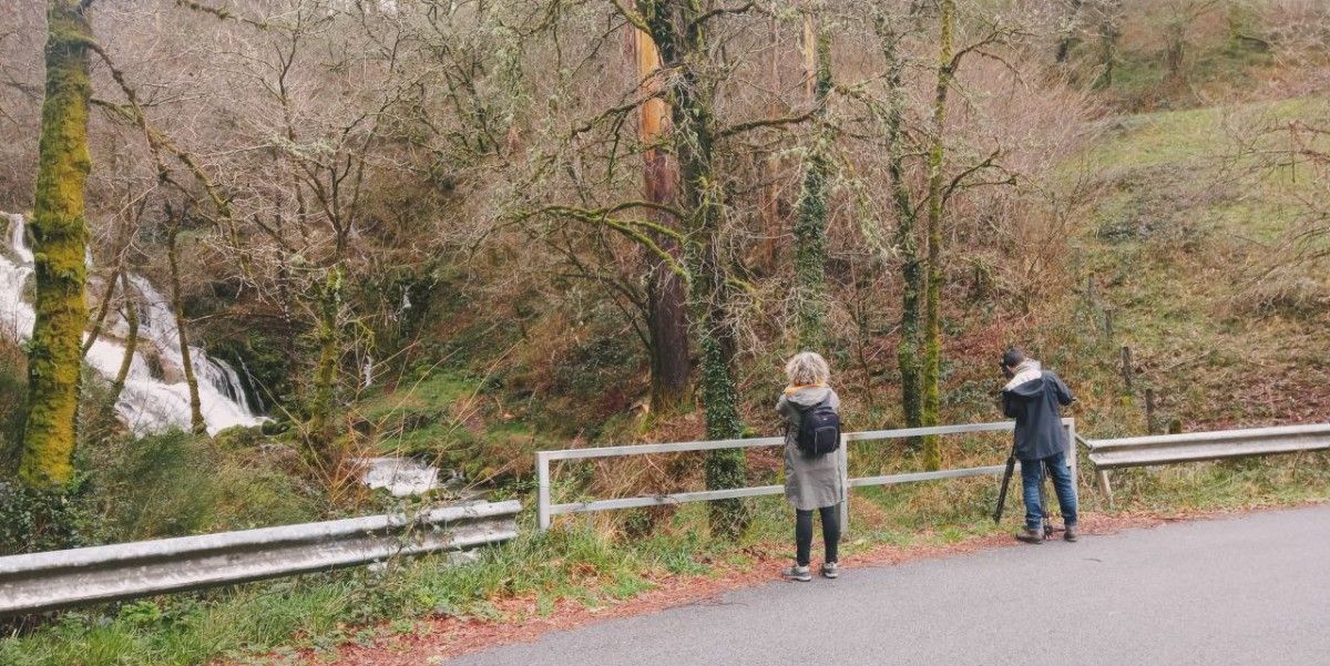 Zona afectada por un dos parques eólicos Zona afectada por un dos parques eólicos