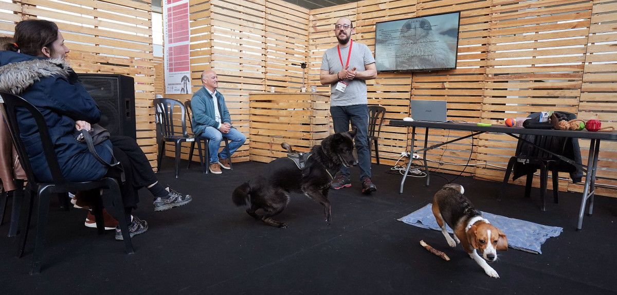 Actividades da I Feira Galega da Mascota no Recinto Feiral