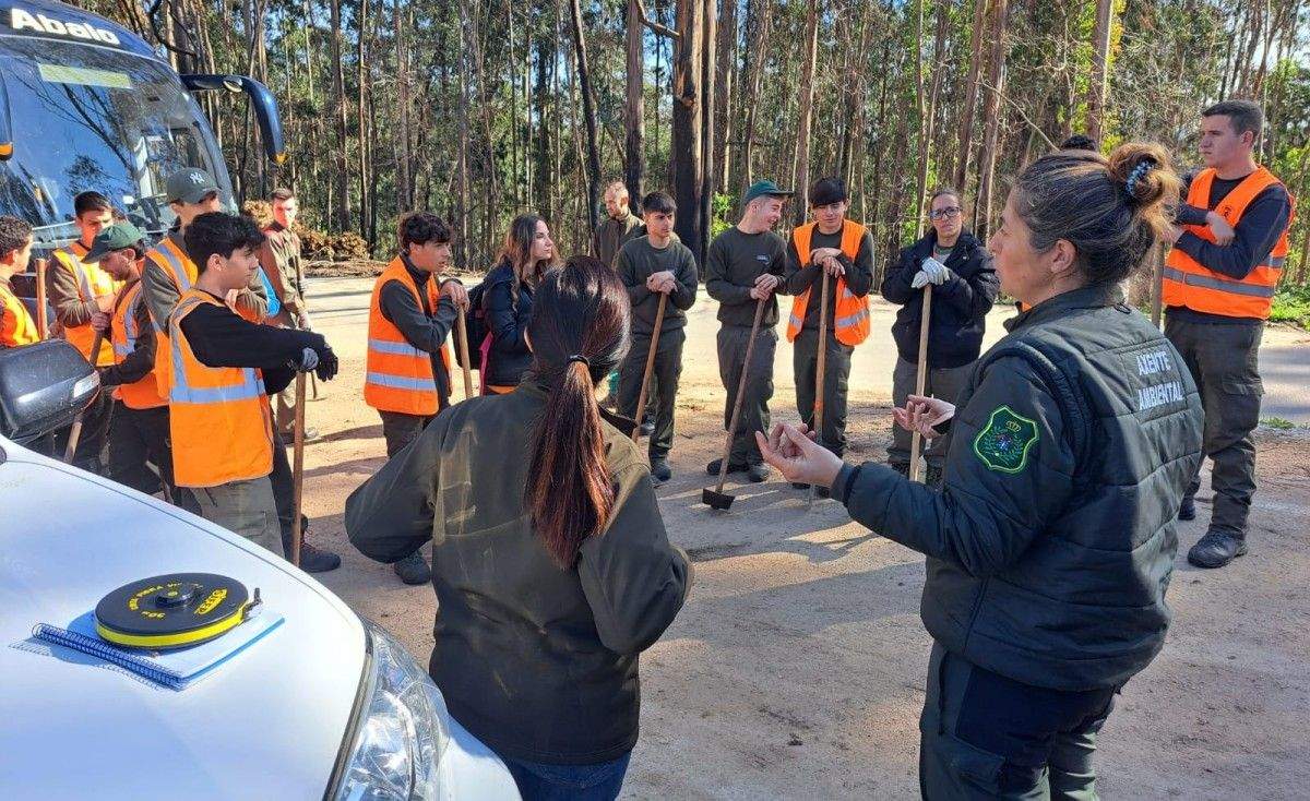 Voluntarios na reforestación dos Montes de Romai