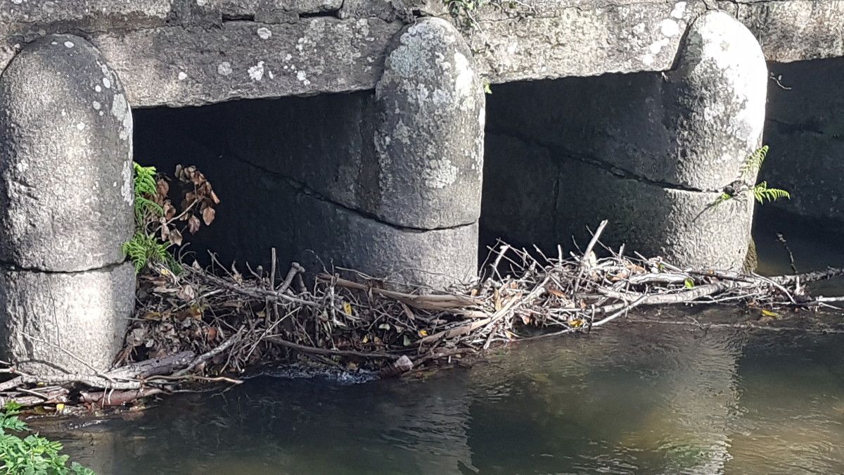 Vaipolorío retira ramaxe nas pontes e fai mantemento do sendeiro no tramo rural do río Tomeza