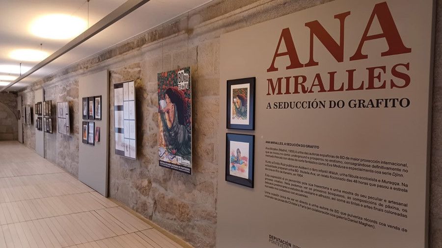 Exposición "Ana Miralles, a seducción do grafito".