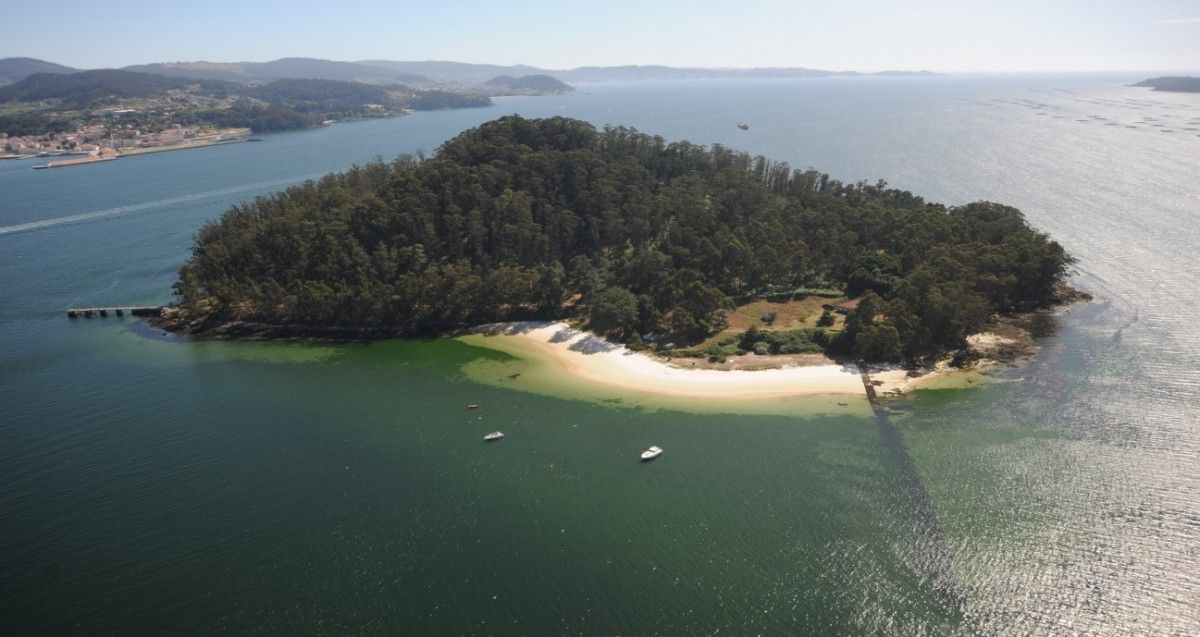 Isla de Tambo