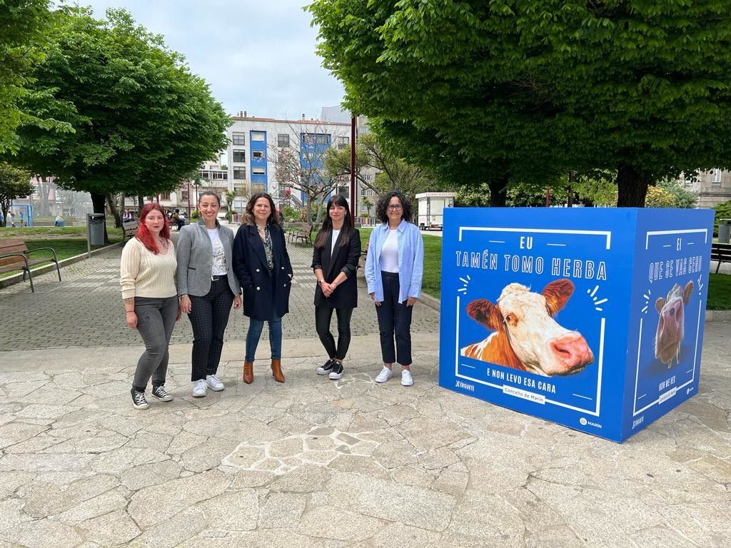 Érguete e o Concello de Marín combaten las conductas adictivas con banners con mensajes de vacas