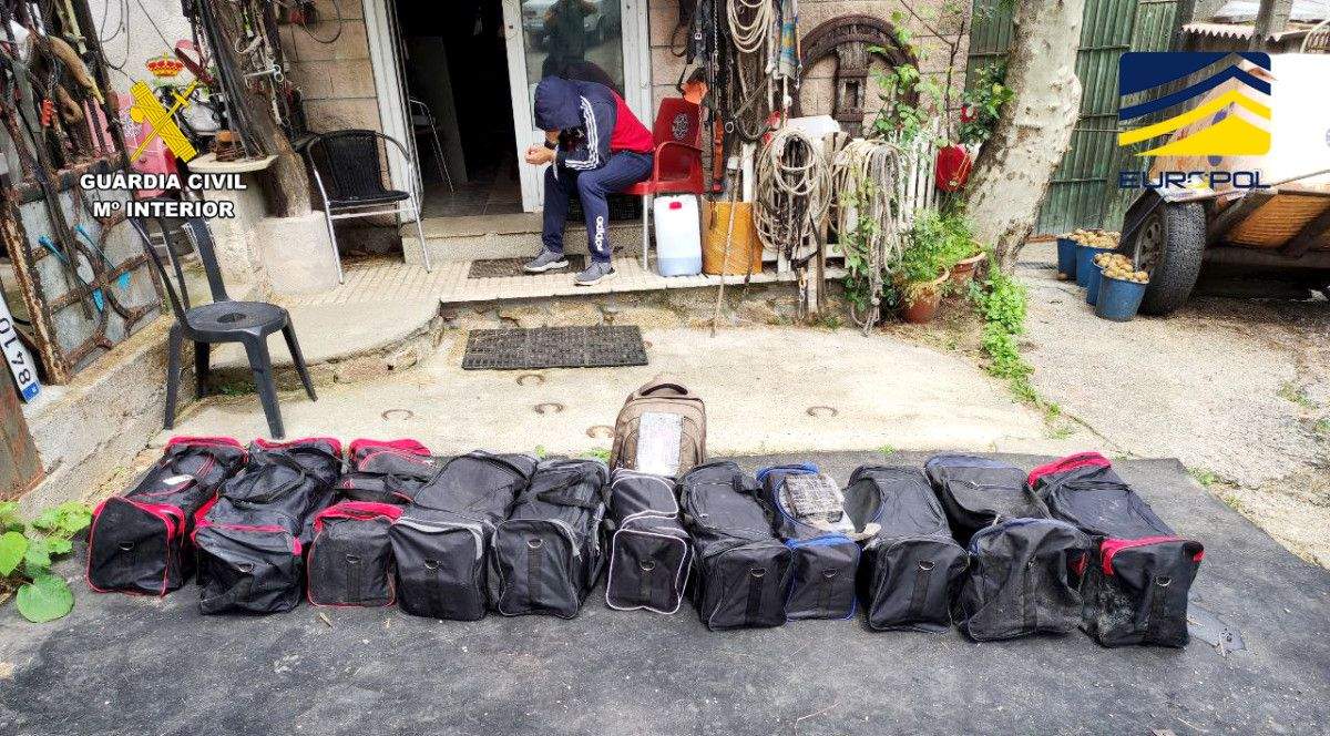 Droga intervida na operación Carplaya