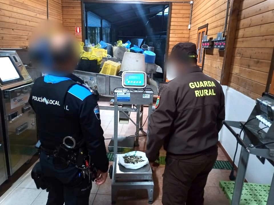 Un agente de la Policía Local y un guardapesca pesan la almeja japónica que estaba recogiendo la furtiva en A Pinela