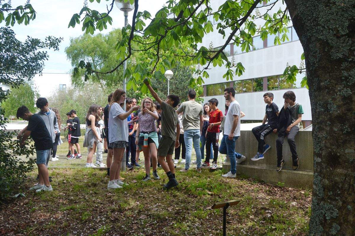 Visita guiada polo arboreto do campus