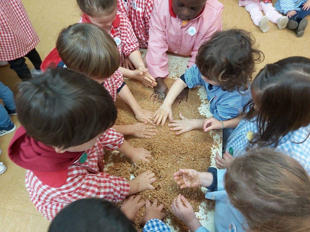 Actividade de ecoloxía circular | ARQUIVO