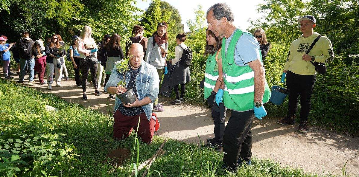 Voluntariado europeo planta sabugueiros na ribeira do río Gafos