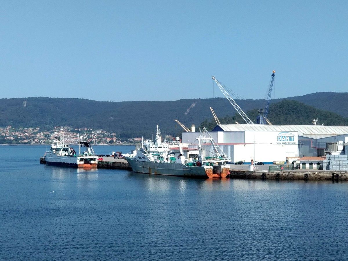 Descarga no Porto de Marín