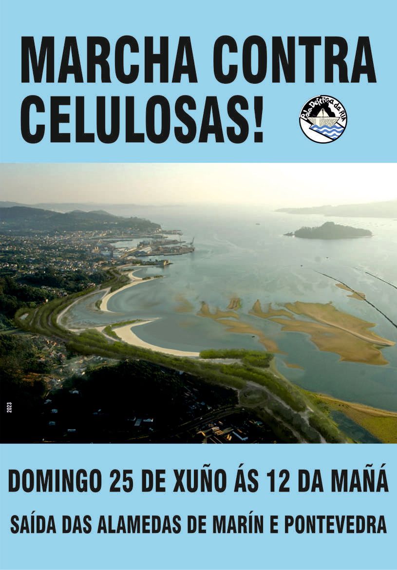 Cartel de la "Marcha contra Celulosas 2023"
