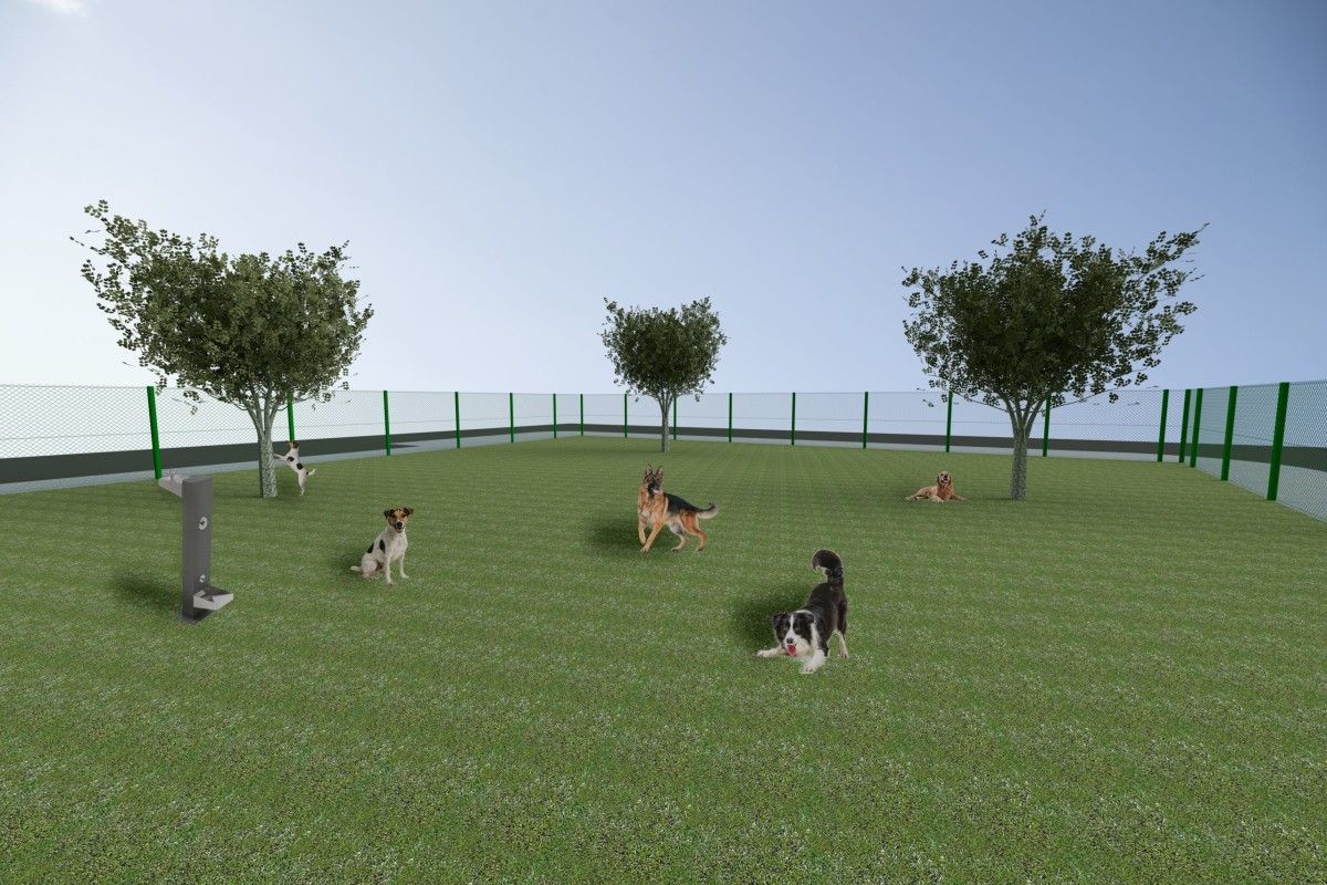 Futuro parque canino de la Praza das Regas
