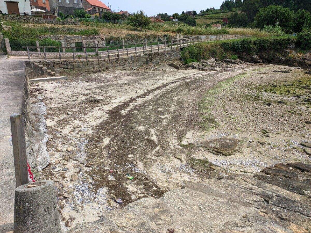 Limpeza da Praia do Norte, en Campelo