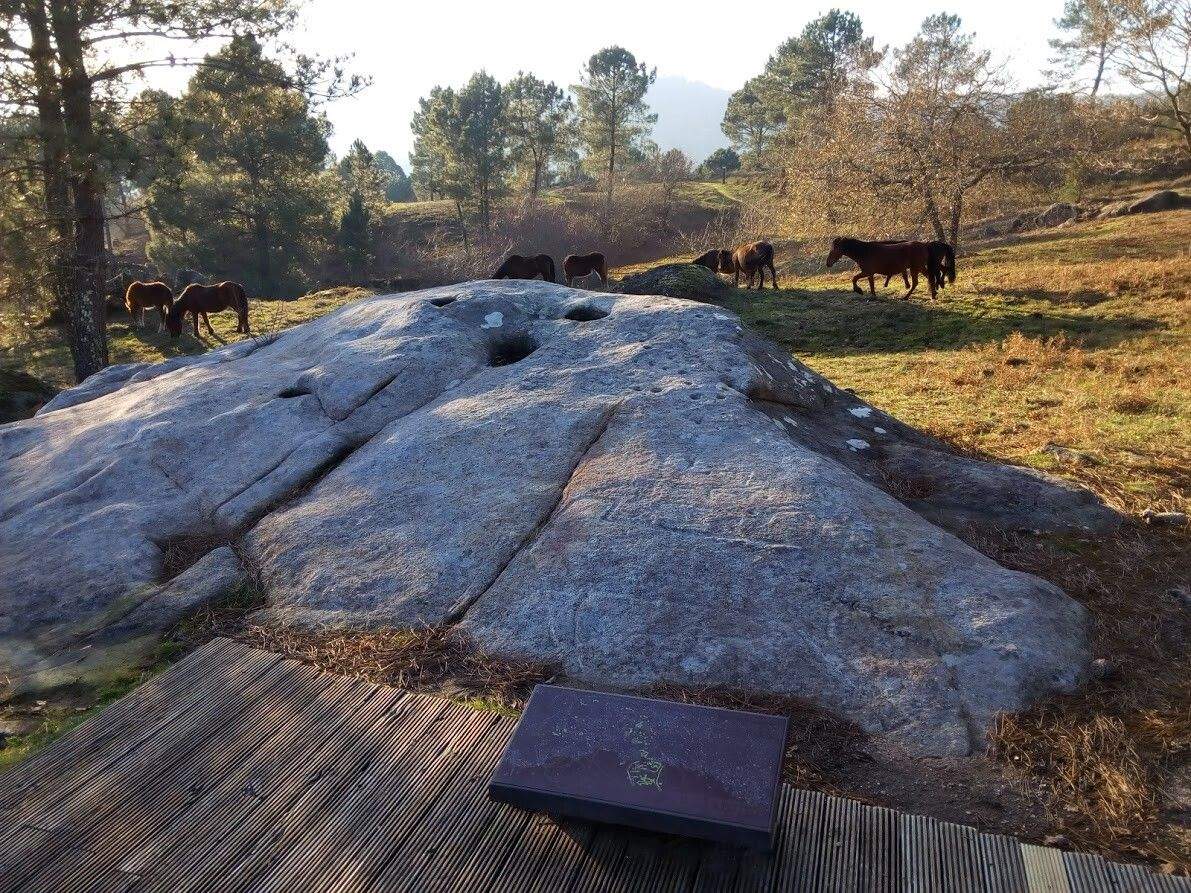 Petróglifos de Campo Lameiro