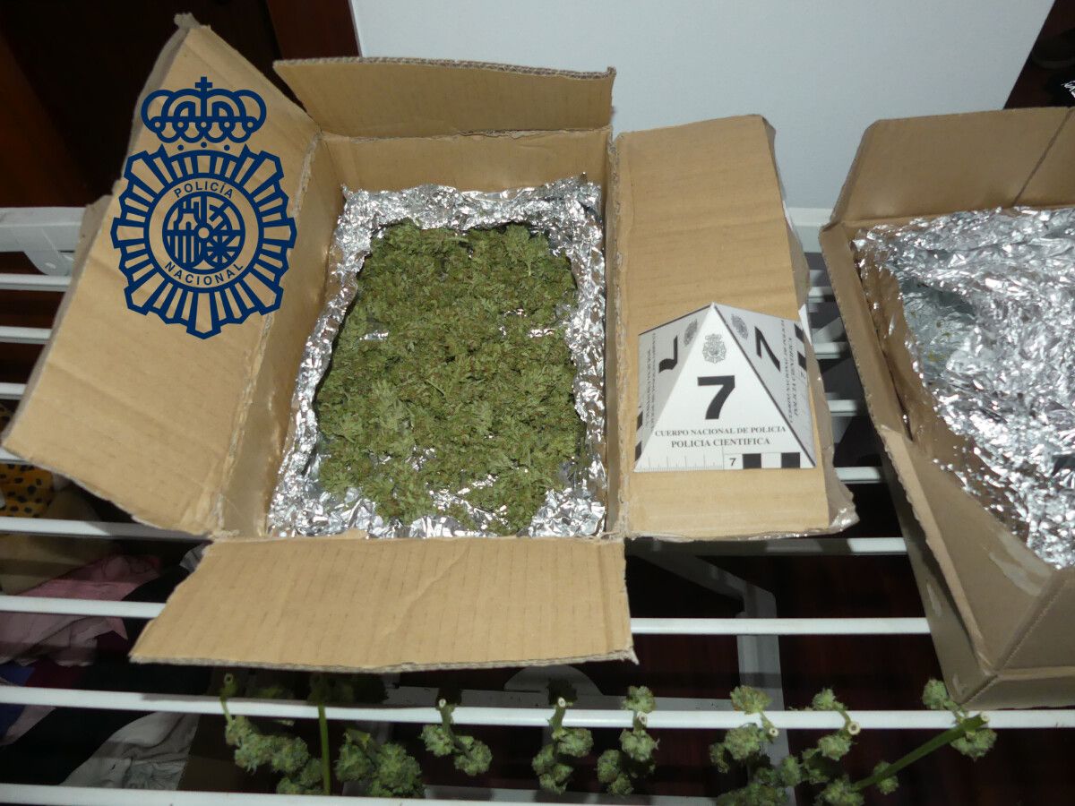 Marihuana intervenida por la Policía Nacional