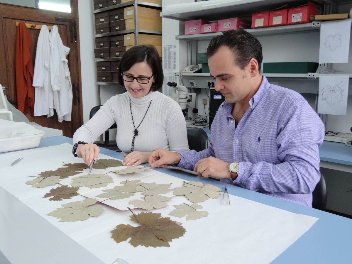 Carmen Martínez, investigadora de la Misión Biológica de Galicia