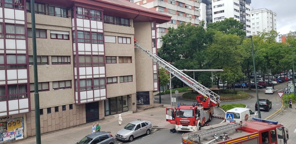 Retirada do niño de velutinas por parte dos Bombeiros de Pontevedra