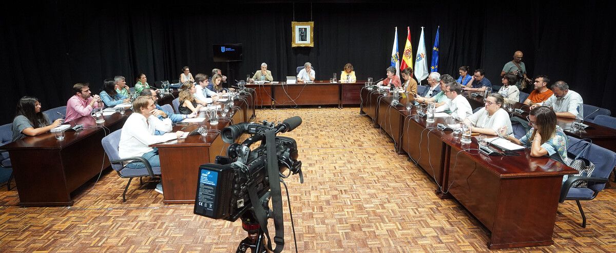 Pleno Municipal no que se confirmou a incompatibilidade laboral da asistente arbitral Iris Romero
